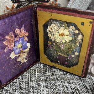 Daguerrotype  early 1800’s Floral Art Display with Purple and Yellow Accents